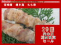 宮崎産若鶏　焼き鳥　もも串
